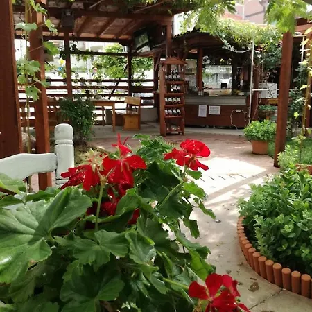 Apartmán студио S *